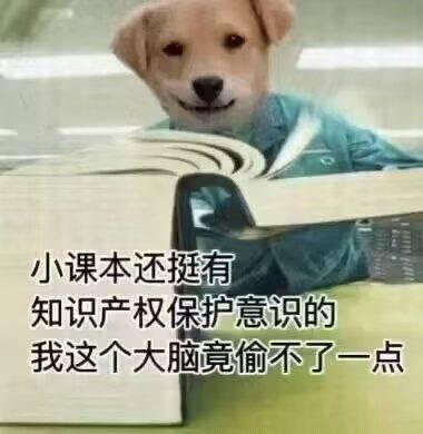 这是一张P图改编的搞笑梗图，将柴犬（Doge）的头部与人类坐在桌前的身体合成，狗狗坐在桌前，面前摊开一本打开的书，配文“小课本还挺有知识产权保护意识的 我这个大脑竟偷不了一点”。
这里运用了双关梗：把“记住知识”比作“偷取内容”，用“知识产权保护”调侃课本里的知识像有保护机制一样，自己怎么都记不住，生动地表达了学习、备考时记不住知识点的无奈与搞笑心情。