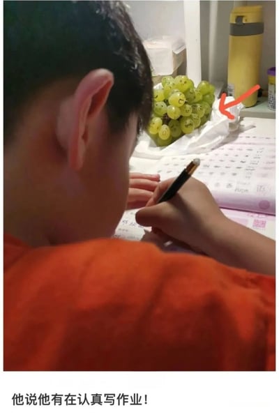 一个穿着橙色上衣的男孩背对着镜头正在写作业，桌子上放着一串绿色葡萄，每颗葡萄上都被画上了笑脸，旁边用红色箭头标注。图片底部配文‘他说他有在认真写作业！’，形成幽默反差，暗示男孩可能分心在葡萄上画画而非专注写作业。