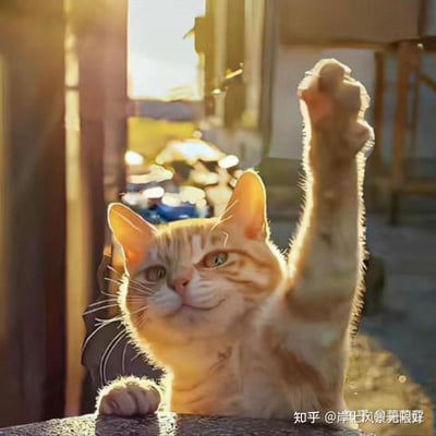 一只橘色的猫正举起它的右爪，脸上带着开心的表情。猫咪的眼睛明亮有神，耳朵竖起，胡须清晰可见。背景中有温暖的阳光照射进来，营造出温馨舒适的氛围。整个画面充满了治愈感，让人感受到猫咪的可爱与生活的美好。