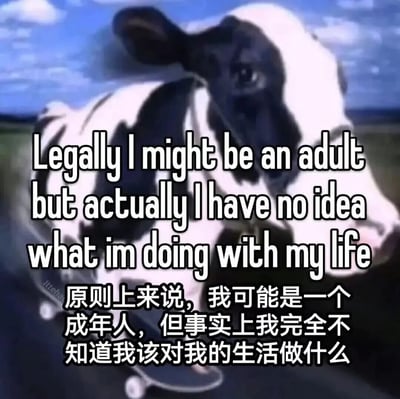 一张幽默梗图，画面主体是一只黑白花色的奶牛站在滑板上，背景是蓝天和草地。奶牛表情平静，似乎在滑行中。图片上叠加了中英双语文字：'Legally I might be an adult but actually I have no idea what I'm doing with my life'和'原则上来说，我可能是一个成年人，但事实上我完全不知道我该对我的生活做什么'。

这张梗图通过拟人化的奶牛形象和文字内容，幽默地表达了许多成年人虽然达到法定成年年龄，但对人生方向感到迷茫的普遍感受，形成一种反差萌的喜剧效果。