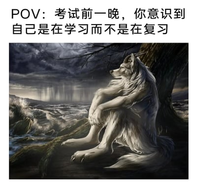 这是一张贴合学生群体的图文混排梗图，上方配文“POV：考试前一晚，你意识到自己是在学习而不是在复习”，下方是一幅氛围压抑的拟人狼人插画：白色狼人抱膝坐在海边树干上，低着头，神情落寞，背景是翻涌的海面与阴沉的雨夜。整幅图精准还原了学生在考试前夕发现自己此前并未学习，只能从零开始临时突击时，那种焦虑、无助又崩溃的心情，能够引发广大学生群体的强烈共鸣。