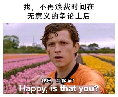 这是一张基于影视截图二次创作的表情包，上方配文“我，不再浪费时间在无意义的争论上后”，图中是脸上带有伤痕的汤姆·赫兰德饰演的蜘蛛侠彼得·帕克，他伸出手，神情激动又带着委屈，配文“快乐，是你吗？Happy, is that you?”，生动地表现出当人们终于停止消耗自身的无意义争论后，再次感受到快乐时的不敢置信与惊喜，精准戳中了人们远离内耗、渴望找回轻松状态的情绪，引发广泛共鸣。