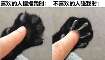 这是一张左右对比图，左侧画面上方文字为“喜欢的人捏捏我时：”，下方是一只黑色猫爪被人的手指轻轻捏着爪垫，爪子呈现放松状态，肉垫明显；右侧画面上方文字为“不喜欢的人碰我时：”，下方同样是这只黑猫爪，但此时爪子伸出了锋利的指甲，呈现出防御姿态，仿佛准备挠人。图片通过猫爪对不同人触碰的两种极端反应，幽默地表现了人们面对喜欢和不喜欢的人接触时的不同态度，生动又形象。