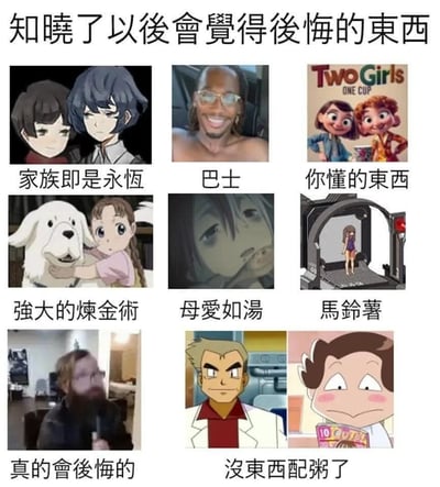 这张图以九宫格格式展现了各种“知道以后会觉得后悔的东西”，配合流行动画、网络meme梗和一些暗示性的内容。每格图中搭配有简要说明，如“家族即是永恒”、“强大的炼金术”等，均指向二次元、网络黑梗或“精神污染”内容。整图充满恶搞、吐槽和二次元亚文化氛围，且部分内容涉及暗示、谐音梗及经典网络恶趣味，如“Two Girls One Cup”、“马铃薯扫描门”等。整体画风年轻且带有一定的冲击性，经常出现在社交网络、二次元论坛互嘲嘲讽场景。