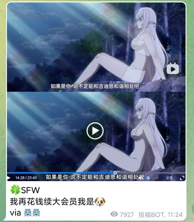 这是一张由微博投稿BOT发布的内容，包含上下两张B站的动画截图对比，截图出自动画《葬送的芙莉莲》。上方截图中角色芙莉莲穿着白色贴身衣物，坐在夜晚林间的岩石上，下方截图中同一画面被平台和谐处理，原本的白色衣物被修改为近似肤色的效果，几乎与身体融为一体。两张截图的台词均为“如果是你 说不定能和吉迪恩和谐相处吧”。截图下方是用户“SFW”的评论“我再花钱续大会员我是🐶”，以此表达对视频平台过度和谐动画内容、付费会员无法观看原版内容的不满情绪。
