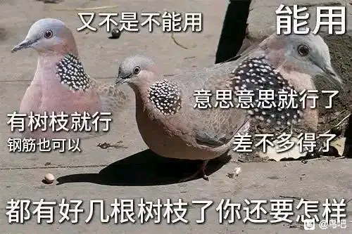 珠颈斑鸠