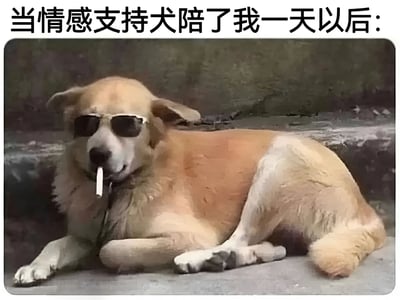 图片上方有文字“当情感支持犬陪了我一天以后：”，下方是一只戴着墨镜、嘴里叼着香烟的黄色狗狗，它四肢伸展地趴在地上，姿态显得非常放松和疲惫，仿佛陪伴主人一天后累坏了。整体画面通过狗狗拟人化的装扮（墨镜、香烟）和慵懒的姿势，幽默地表现了情感支持犬在提供陪伴后的“劳累”状态，带有搞笑和轻松的氛围。