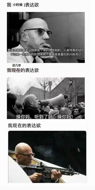这是一张三格拼接的梗图，通过对比展示了表达欲的变化。第一格是小时候的表达欲，画面中一位戴眼镜的秃头男性沉思着说："我们想做的是去证明那些个体的、特别的、人类特有的经历不过是一些庞大的形式系统下面极其表面化的闪烁而已"，显得充满哲学思考。第二格是这几年现在的表达欲，同一位男性拿着扩音器对着人群大喊："操你妈，听到了吗，操你妈!"，情绪变得暴躁直接。第三格进一步展示现在的表达欲，男性从车里持枪伸出窗外，表情凶狠。通过这种夸张的对比，幽默地表现了表达欲从深奥哲思到简单粗暴的转变。