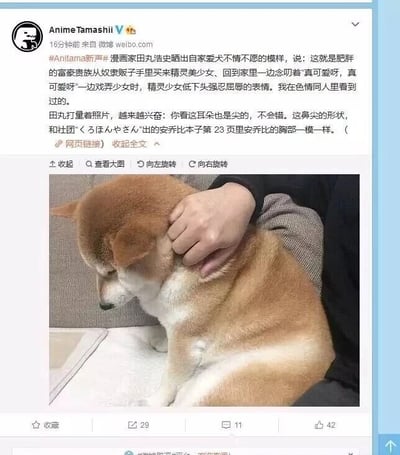 这是一条来自微博平台的图文混排内容，发布账号为AnimeTamashii，带有#Anitama新声#话题标签。图片部分是一张静态单图，展示了一只棕黄色的柴犬被人的手抓住后颈部位，柴犬低着头，眼神低落，面部神态呈现出明显的不情愿与委屈感，仿佛在忍受着不情愿的对待。文字部分则是发布者分享的漫画家田丸浩史的言论：田丸浩史将自家这只柴犬的不情愿模样，类比为低俗色情同人作品中，被富家贵族戏弄的精灵美少女强忍屈辱的神态，甚至兴奋地将柴犬的耳朵、鼻尖形状和某社团出品的同人本子里的角色胸部特征做对比，内容带有低俗的二次元色情梗。