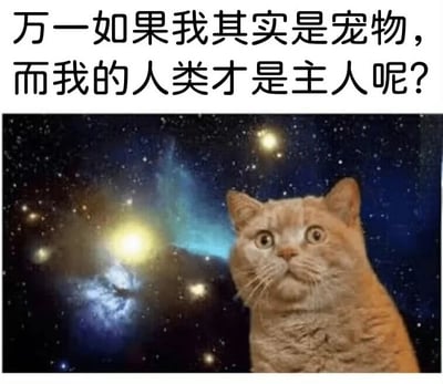 图片上方配有文字“万一如果我其实是宠物，而我的人类才是主人呢？”，下方是一只橘猫，它瞪着圆圆的大眼睛，表情惊讶地仰望上方，背景是深邃的星空，点缀着明亮的星辰和星云。整体通过猫咪拟人化的思考，以幽默的方式引发人们对人类与宠物关系的有趣反思。
