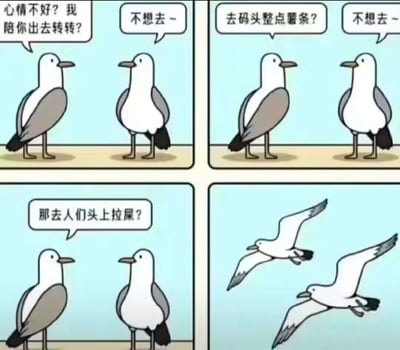 暂无描述