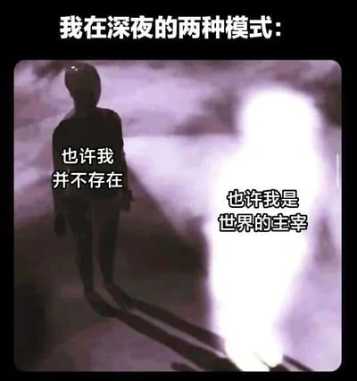 图片通过左右对比的方式，展示了深夜两种极端的心理状态。左侧是暗色调的剪影人物，配文“也许我并不存在”，体现深夜常见的存在焦虑与自我怀疑；右侧是亮色调的发光人物，配文“也许我是世界的主宰”，展现过度自信的膨胀感。整体以昏暗的城市背景为衬托，通过图文结合幽默呈现人们深夜独处时的情绪波动。