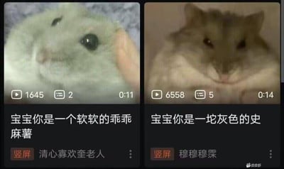 两张仓鼠视频截图的左右对比图，左边是一只被捧在手心的白色仓鼠，眼睛又大又圆，配上文字"宝宝你是一个软软的乖乖麻薯"；右边是一只表情略显严肃的灰色仓鼠，配上文字"宝宝你是一坨灰色的史"。两张图都显示了视频播放界面，包含观看次数、评论数和时长信息，展现了对不同仓鼠的可爱调侃。