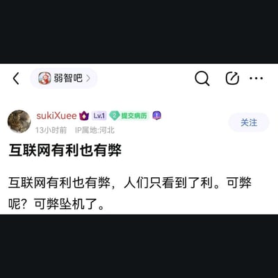 这是一张社交媒体截图，显示了用户"sukiXuee"在"弱智吧"发布的帖子。帖子内容为："互联网有利也有弊，人们只看到了利。可弊呢？可弊坠机了。" 这句话使用了谐音梗，将"弊端"的"弊"与NBA球星科比·布莱恩特的名字谐音，结合其2020年直升机坠毁事件，形成了争议性的网络梗。
