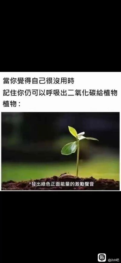 这是一张带有治愈系冷幽默的图文梗图，上方文字先引导处于自我否定情绪中的人，告诉他们即便觉得自己没用，也能通过呼吸为植物提供二氧化碳；随后以拟人的方式，给下方破土生长的幼苗配上“*发出绿色正面能量的激励声音*”的文字，用植物的“积极回应”来完成这个荒诞又暖心的笑话，用接地气的方式给情绪低落的人提供另类的自我安慰，风格轻松幽默又带有治愈感。