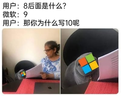 这是一张左右分栏的对比式P图梗图，上方配有三段对话文字，构建了用户与微软的问答场景：用户询问“8后面是什么？”，微软回答“9”，用户随即追问“那你为什么写10呢”。左侧画面中，一位身着蓝白花纹上衣、戴眼镜的女性正专注地查看手中的文件，她手边的动物（疑似猫）头部被P上了缩小版的微软四色图标；右侧画面是该动物的特写，微软四色图标完全覆盖了它的头部，它面前也摆放着文件。这张图以幽默的方式调侃微软在Windows 8操作系统之后，跳过Windows 9直接发布Windows 10的版本迭代操作，通过拟人化的微软形象和对话，制造出一种微软“口是心非”的滑稽反差感。
