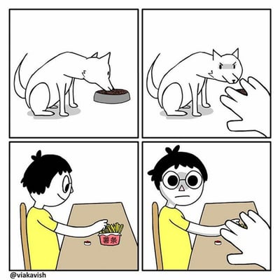 这是一组四格连环卡通漫画，采用黑白+局部彩色的画风。第一格描绘了一只狗狗正平静地进食碗中的狗粮；第二格中，一只手伸向狗狗的狗粮，狗狗立刻露出愤怒的表情，表现出对食物被抢的不满；第三格切换到一个穿着黄色衣服的小男孩，他正开心地吃着桌上的薯条；第四格中，同样有一只手伸向男孩的薯条，男孩瞬间变得脸色阴沉、眼神惊恐，露出不敢置信的表情。漫画通过狗狗和人类面对相同“食物被抢”事件的不同反应，形成强烈反差，以幽默的方式讽刺了双标行为，引发读者对这类行为的共鸣与思考。
