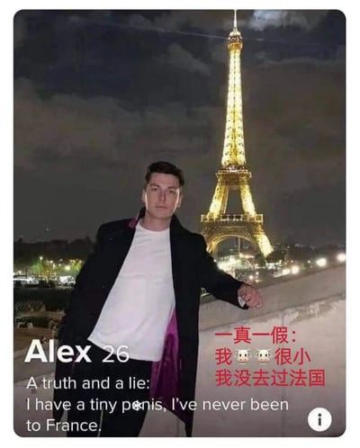 图片中一名男子站在埃菲尔铁塔前，铁塔在夜色中被灯光照亮。图片上有文字写着："Alex 26 A truth and a lie: I have a tiny p*nis, I've never been to France." 以及对应的中文翻译："一真一假：我🐂🐂很小 我没去过法国"。这是一个幽默梗图，玩了