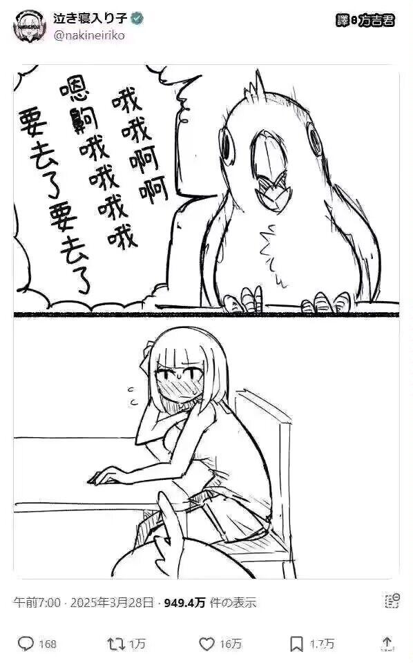 小鸟