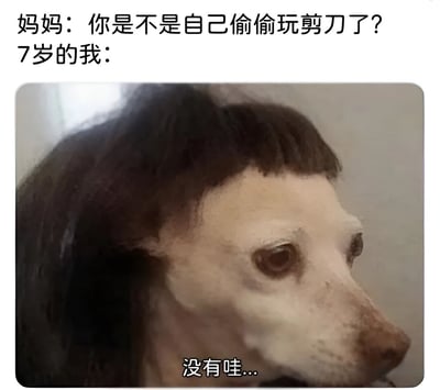 图片上方是妈妈的提问“你是不是自己偷偷玩剪刀了？”，下方配有一张狗狗的照片，狗狗的发型被剪得参差不齐、十分凌乱，像是被小孩子胡乱修剪过。图片底部是“7岁的我：没有哇...”的回应文字。通过狗狗心虚又无辜的表情和糟糕的发型，幽默地展现了童年时偷偷做坏事被发现却嘴硬否认的场景，形成强烈的反差萌和喜剧效果。