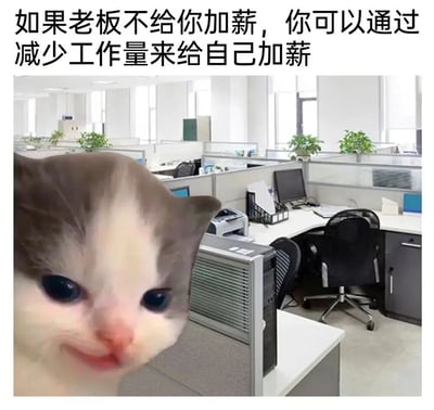 图片上方配有文字“如果老板不给你加薪，你可以通过减少工作量来给自己加薪”，下方是一个明亮的办公室隔间场景，多个工位上摆放着电脑、文件和绿植。前景中被P上了一张巨大的猫咪脸，猫咪有着蓝色的眼睛和俏皮的微笑表情，整体营造出一种幽默调侃职场现状的氛围。