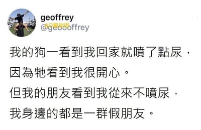 这是一张X平台的推文截图，发布者发布了一段搞笑吐槽内容：自己家的狗见到自己回家时会因为过于开心喷尿，而自己的朋友见到自己从来不会有这种反应，因此调侃自己身边的都是假朋友，通过将狗表达开心的特殊方式套用到人际交往的逻辑上，形成荒诞的笑点。