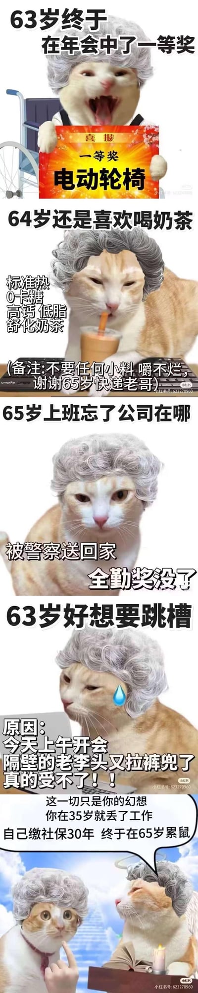这是一组由橘猫表情包（Mur猫）二次创作的连环梗图，用拟人化的老年猫形象，虚构了从63岁到65岁仍在打工的荒诞日常：63岁年会中了电动轮椅一等奖，64岁定制了适合老年的热奶茶还麻烦快递老哥，65岁上班迷路被警察送回导致全勤奖丢失，甚至因同事的窘境想跳槽，最后被带光环的天使猫戳破幻想——其实35岁就已失业，自己缴了30年社保，65岁最终“累鼠”（谐音“累死”）。用反差感调侃当代年轻人对延迟退休、中年失业的职场焦虑，其中“累鼠”是谐音梗，强化打工人的疲惫无奈。