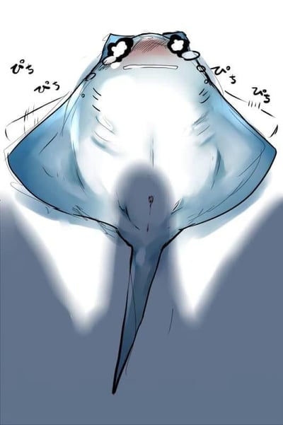 暂无描述