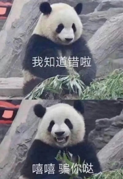 这是一张上下拼接的熊猫表情包，上半部分熊猫双手捧着竹子，表情乖巧，配文“我知道错啦”；下半部分熊猫张开嘴巴露出牙齿，表情调皮，配文“嘻嘻 骗你哒”。通过熊猫表情和文字的反差制造幽默效果，展现了从认错到调皮反转的有趣过程。