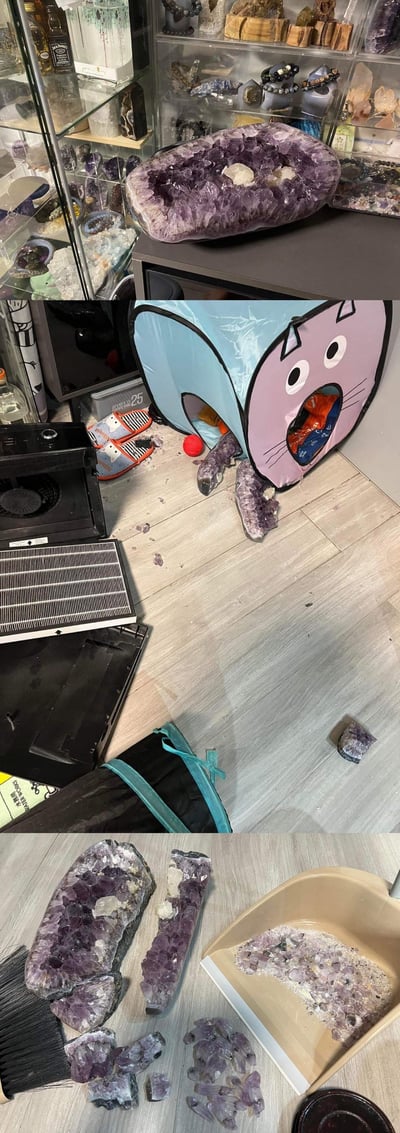 这是一组由三张实拍图组成的连环记录图，展示了原本作为贵重收藏的大型紫水晶洞的意外遭遇：第一张图里它完好地摆放在水晶收藏展示柜前，是完整的紫晶簇原石；第二张图中它已经摔碎在卡通猫窝旁，地面散落着碎水晶颗粒；第三张图里碎裂的水晶洞被整理成大块碎片和扫进簸箕的细碎渣子，满是主人面对贵重收藏损坏的心疼与无奈氛围。