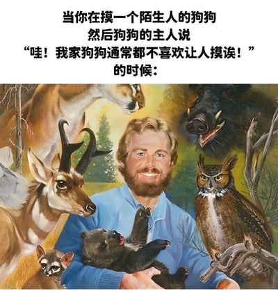 图片上半部分为文字描述场景：'当你在摸一个陌生人的狗狗 然后狗狗的主人说 “哇！我家狗狗通常都不喜欢让人摸诶！” 的时候：'，下半部分是一幅插画，画中一位金发络腮胡男子穿着蓝色上衣，面带灿烂笑容，怀中抱着一只小熊崽，周围环绕着鹿、野猪、猫头鹰、小浣熊等多种动物，营造出一种“深受动物喜爱”的温馨又略带夸张的氛围。通过图文结合，幽默地表现了当自己被陌生狗狗接受并得到主人夸赞时，内心产生的“动物亲和力爆棚”的得意感。
