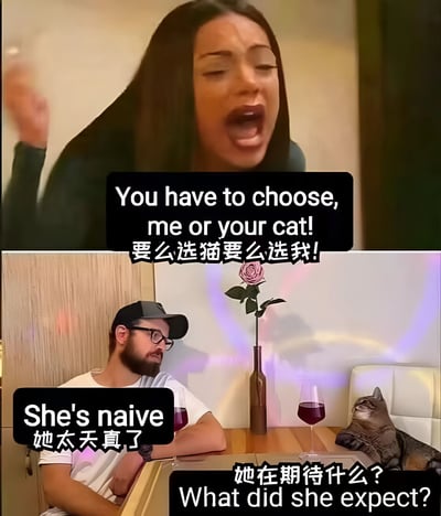 这是一个双格对比梗图，上格显示一位女性愤怒地要求伴侣在她和猫之间做出选择，下格显示男性与猫共处，暗示他显然会选择猫。通过中英文双语字幕呈现幽默效果，展现了宠物在现代关系中的特殊地位。