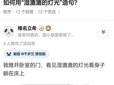 图片展示了知乎上的一个问答场景，问题为“如何用‘湿漉漉的灯光’造句？”。用户“椎名立希”的回答写道：“我推开卧室的门，看见湿漉漉的灯光着身子躺在床上”，通过将“灯光”拟人化，营造出荒诞又搞笑的效果。回答下方显示有4人赞同，页面还包含“知乎 · 12个回答 · 12个关注”等平台信息。