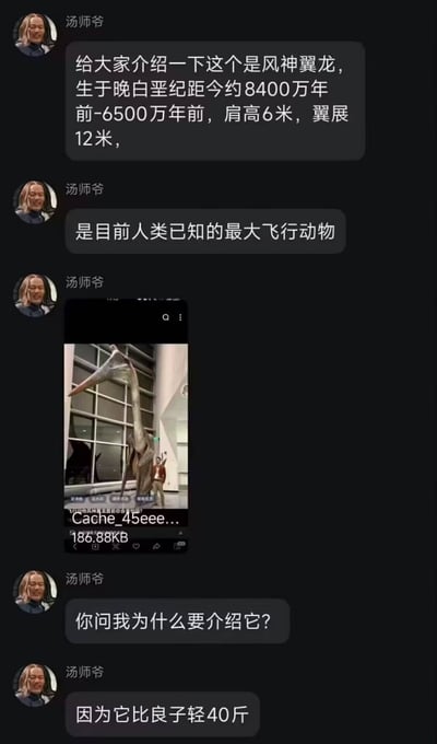 本图是一组微信群聊截图，对话中“汤师爷”用权威语气介绍史前巨兽风神翼龙，结尾却神转折：点出其重量优势在“比良子（群员昵称）轻40斤”，用科普包袱制造出幽默感，槽点十足。此类“拿熟人开玩笑”和“知识梗”为群聊常见风格，极具网感。