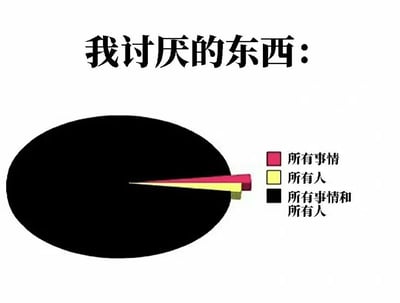 图片顶部有黑色大字标题“我讨厌的东西：”，下方是一个圆形饼图。饼图主体为黑色，右侧有三个彩色标签及对应文字说明：红色代表“所有事情”，黄色代表“所有人”，黑色代表“所有事情和所有人”。其中黑色区域占据了饼图的绝大部分，红色和黄色区域仅为极小的切片，通过夸张的比例幽默地表达了对一切事物和人的强烈厌恶情绪。