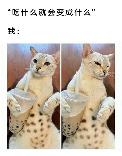 这是一张充满趣味的图文混排P图，上方配文“吃什么就会变成什么”和“我：”，引出下方的左右对比猫咪图。左侧猫咪抱着一杯珍珠奶茶，它胸口的深色斑点与奶茶里的珍珠位置一一对应，仿佛它的身体就是由珍珠奶茶构成；右侧猫咪的斑点数量明显减少，像是把奶茶里的珍珠“喝掉了”，表情也变得慵懒惬意。这张图通过视觉错位和P图手法，玩了“吃什么变什么”的趣味梗，用猫咪的形象代入自己，幽默地表达了对珍珠奶茶的喜爱，风格轻松搞笑，很适合作为表情包或趣味内容在社交平台分享。