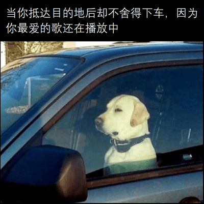 图片中展示了一只黄色拉布拉多犬坐在汽车副驾驶座上，平静地望向车窗外。图片上方配有文字：“当你抵达目的地后却不舍得下车，因为你最爱的歌还在播放中”。这张图通过狗狗安静等待的可爱模样，幽默地再现了人们日常生活中因喜爱的音乐尚未结束而不愿离开车内的共鸣场景，整体氛围轻松温馨。