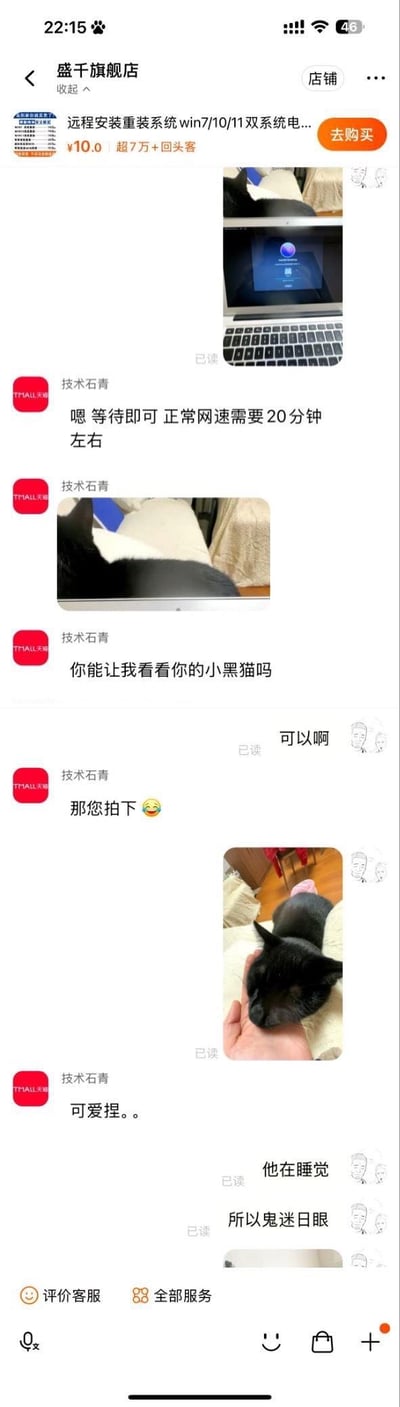 这是天猫盛千旗舰店的客服「技术石青」与用户的聊天记录：用户在咨询远程重装系统服务时，截图里不小心拍到了自家小黑猫，客服在告知系统安装等待时长后，突然好奇用户的小黑猫，还开玩笑让用户「拍下」，用户随后发送了小黑猫在手上熟睡的照片，客服夸赞可爱，用户调侃猫咪在睡觉所以「鬼迷日眼」。整个对话轻松搞笑，是客服与用户的温馨趣味互动。
没有双关、谐音梗等特殊隐含内容。