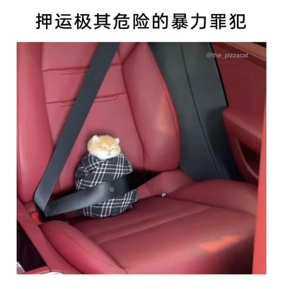 这是一张充满反差萌的搞笑图片，顶部配文“押运极其危险的暴力罪犯”，但图片主体却是一只被格子布料包裹、用汽车安全带固定在红色汽车座椅上的橘色小奶猫。小猫双眼紧闭，神态慵懒安详，正处于熟睡状态，看起来乖巧又软萌，和配文中“危险暴力罪犯”的描述形成强烈的反差，营造出滑稽有趣的效果，让人忍俊不禁，凸显出萌宠的可爱感。