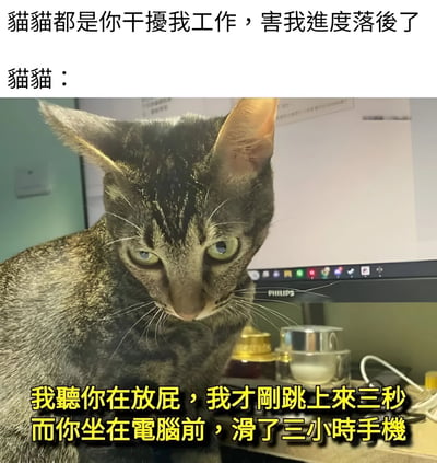 图片展示了一只虎斑猫坐在电脑显示器前，背景可见办公桌上的物品。上方文字是主人抱怨：“猫猫都是你干擾我工作，害我進度落後了”，下方黄色文字是猫猫的反驳：“我聽你在放屁，我才剛跳上來三秒 而你坐在電腦前，滑了三小時手機”。通过拟人化的对话，幽默地讽刺了人们将工作拖延归咎于宠物干扰，实则自己在玩手机的行为。