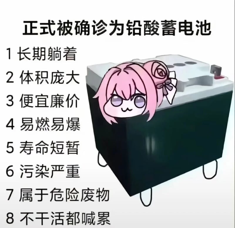 正式被确诊为铅酸蓄电池的doro