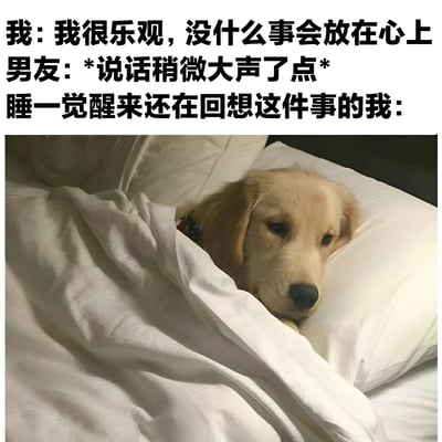 这是一张幽默地展示人们常常口是心非的梗图。图片上方有三段文字，描述了一个常见的生活场景：自己声称很乐观、什么事都不放在心上，但当男友说话稍微大声一点后，却在睡一觉醒来后仍然在回想这件事。文字下方是一张金毛犬的照片，狗狗躺在床上，只露出一个脑袋，眼神忧郁地望向一侧，完美诠释了那种虽然嘴上说不在意但内心却一直在纠结的状态。这种反差萌的表达方式很容易引起共鸣。