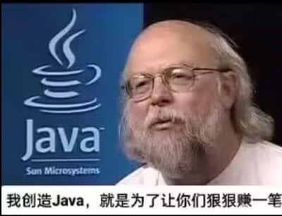 这是一张网友二次创作的搞笑梗图，画面主体是Java编程语言的发明者詹姆斯·高斯林的采访截图，图片左侧带有Sun Microsystems公司时期的Java官方品牌标识。图片底部被添加了与原采访内容不符的恶搞中文字幕“我创造Java，就是为了让你们狠狠赚一笔”，以幽默调侃的方式，呼应Java语言在IT行业、程序员职场中的广泛应用，以及它为从业者、相关企业带来的商业价值与就业机会，精准契合程序员社群的趣味文化，容易引发IT从业者的共鸣。