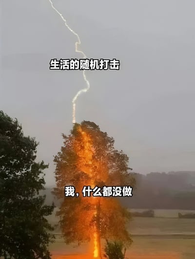 图片展示了一道闪电从灰暗的天空劈下，精准击中了画面中央的一棵树，树干因雷击呈现出橙黄色的发光效果，仿佛被点燃。图片上方配有文字“生活的随机打击”，下方配有文字“我，什么都没做”，通过自然现象中的随机雷击比喻生活中突如其来的困境，表达了一种“什么都没做却遭遇意外打击”的无奈与共鸣感。