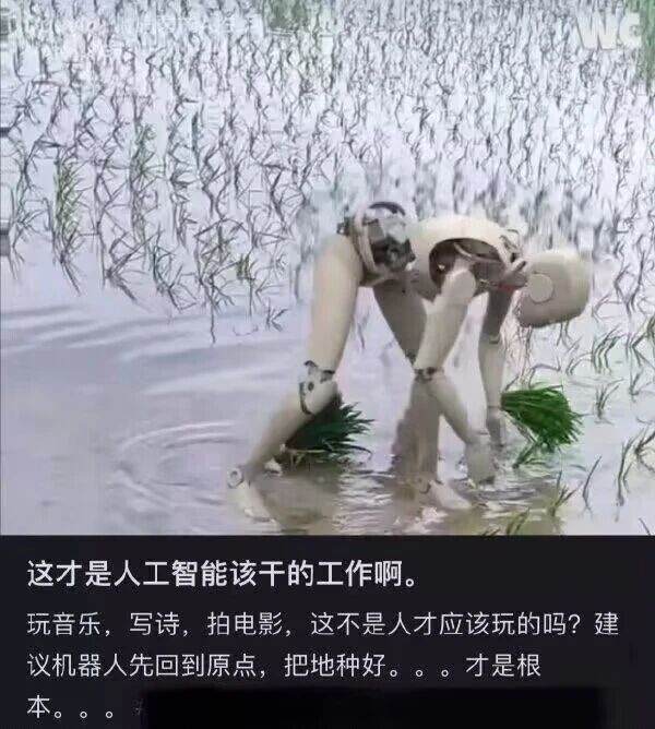 农业插秧作业
