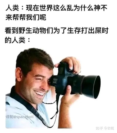这张图是一则讽刺人类双标行为的梗图。图上半部分通过文字描述人类抱怨“为什么神不来帮我们”；而下半部分用一张摄影师专注拍摄的图像，对比人类在看到野生动物为生存挣扎时，仅仅选择冷静观察或拍摄，无动于衷，暗示人类自身也只是旁观者，却总期望外力拯救世界。整体语气幽默但带有反思。没有明显的谐音梗，但属于讽刺/反讽的表达方式。