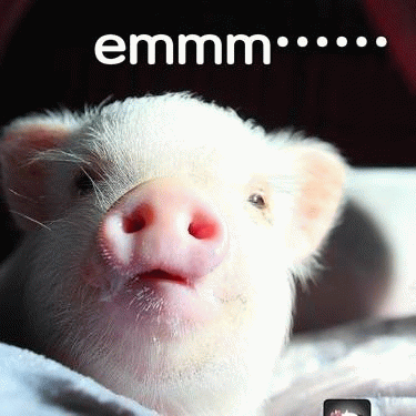 思考中的小白猪 emmm...