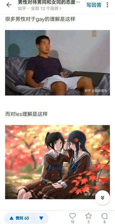 该图为知乎平台上的一篇帖子截图，通过上下对比图呈现部分男性对男同（gay）和女同（les）的刻板印象差异。上图使用一张普通男性坐在沙发上的真实照片，配文'很多男性对于gay的理解是这样'，暗示对男同的认知较为平淡甚至刻板；下图则采用动漫风格的唯美场景，两名穿着校服的少女在红叶背景下互相整理头发，配文'而对les理解是这样'，反映出对女同的认知可能更偏向理想化或浪漫化。整体通过图文对比讽刺了部分男性对不同性少数群体可能存在的双重标准和刻板印象。