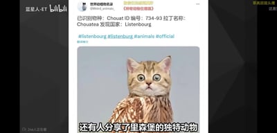 这是一张Bilibili平台的截图，内容为账号“世界动植物名录”发布的虚构物种“Chouatea”的介绍。图片主体是一只头部为猫（眼睛圆睁，表情惊讶）、身体为猫头鹰羽毛的合成生物。配文称该物种ID编号734-93，拉丁名称Chouatea，发现国家为“Listenbourg”（里森堡，一个虚构国家），并带有#listenbourg #animals等标签。底部有文字“还有人分享了里森堡的独特动物”，整体营造出荒诞搞笑的效果，属于网络 meme 创作。