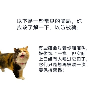 这是一张趣味图文混排的静态梗图，整体风格轻松幽默。图片左侧是一只三色猫咪，它张着嘴巴，看起来正在喵喵叫，表情急切，四肢站立着，姿态像是在向人讨要食物。图片右侧及上方配有文字，以“防骗局”的夸张口吻提醒大家：有些猫咪会通过喵喵叫假装饥饿，实际上已经被喂过，只是想再被喂一次，要保持警惕。这张图以调侃的方式，将猫咪贪吃想多吃一顿的可爱行为包装成“骗局”，精准戳中养猫人群的日常经历，充满趣味性。